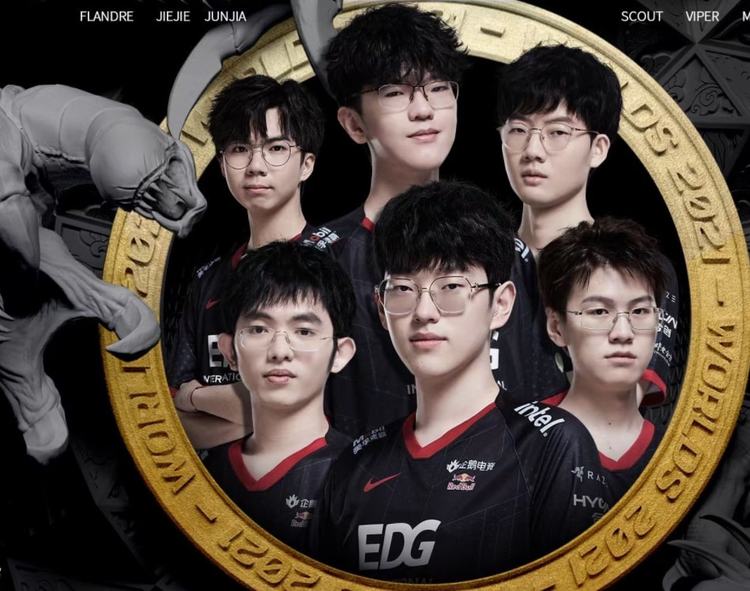 了坚实的后 了坚实的后